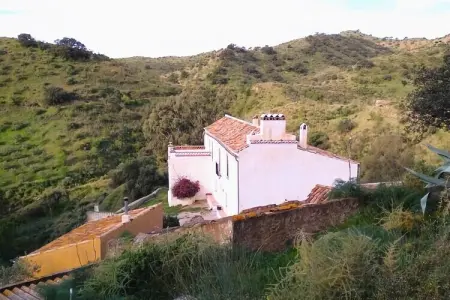 Hacienda Mellado, Ferme andalouse pour ateliers, retraites ou événements - Photo 36