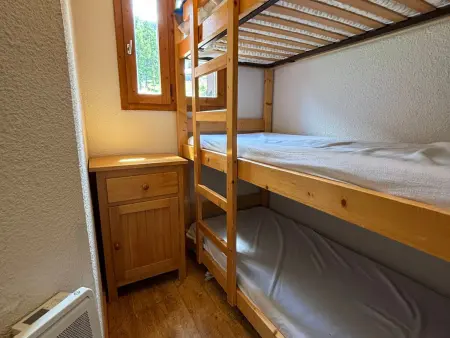 Studio cabine 23m² vue Mont-Blanc à Vallandry : photo 5