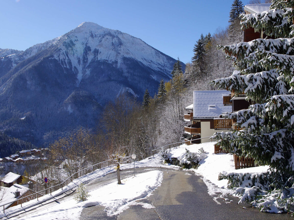 Duplex Hauts de Planchamp, 6 pers, balcon vue village - Photo 11