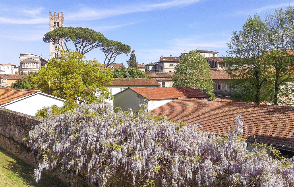 Appartement 4 personnes à Barga - Photo 37