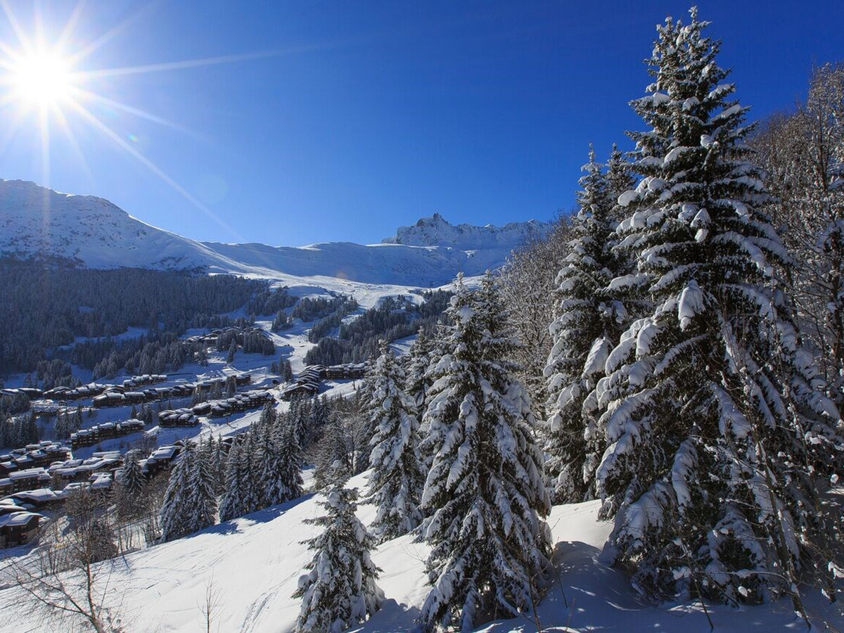 3 pièces 6 pers aux Avanchers-Valmorel, 2 min des pistes - Photo 10