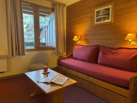 Location appartement à Les Avanchers Valmorel, Studio confortable pour 4 pers. à 3 min des pistes, classé 2 étoiles, animaux admis, TV, cuisine équipée