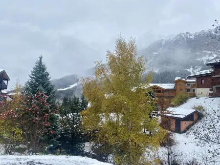 2P aux pieds des pistes avec terrasse, Les Avanchers-Valmorel : photo 10