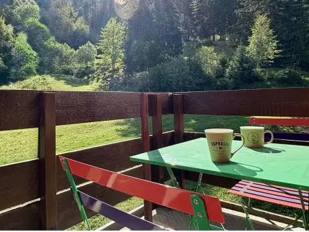 Studio 4 pers. divisible, 2 km des pistes, balcon : photo 9