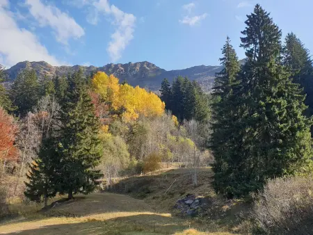 Studio 4 pers. divisible, 2 km des pistes, balcon : photo 10