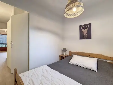 Appartement 29 m² avec balcon sud-ouest, à 100 m des pistes à Saint-Martin-de-Belleville : photo 7