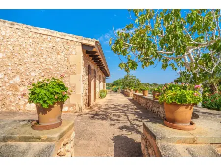 Los Geranios, Maison 6 personnes à Porreres : photo 31