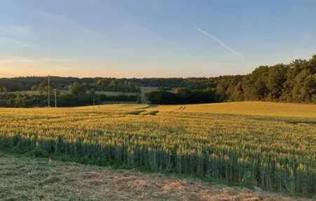 Location Maison 12 personnes à Lussas et Nontronneau - Photo 31