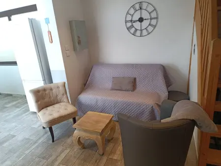 Appartement T3 climatisé à Saint-Cyprien, piscine et animaux admis : photo 5