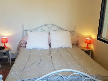 Appartement T3 climatisé à Saint-Cyprien, piscine et animaux admis : photo 12