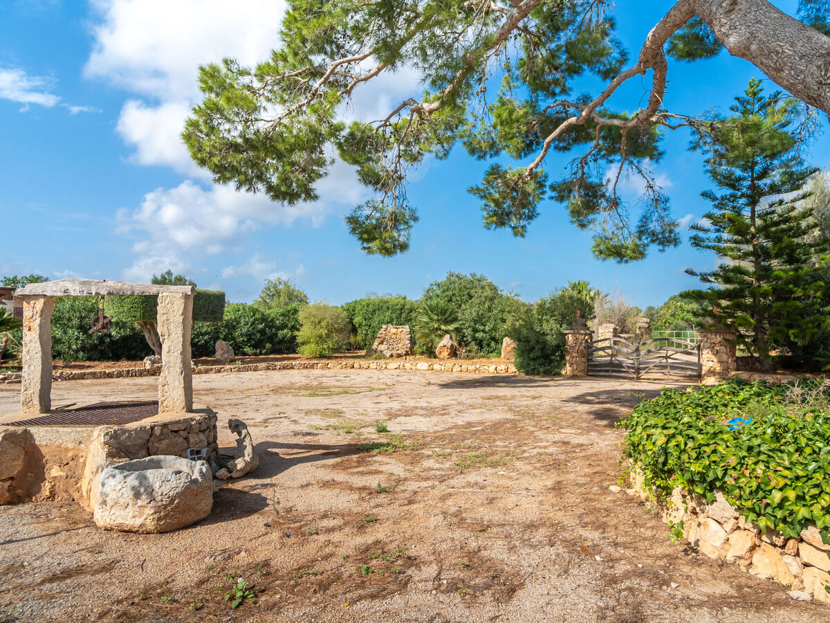 Es Garrigo de Son Mora – Maison 4 pers. avec piscine à Porreres - Photo 32