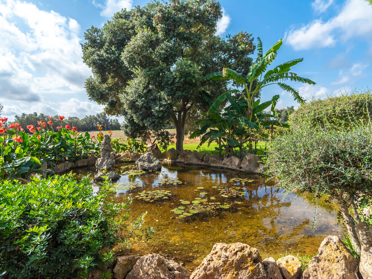 Es Garrigo de Son Mora – Maison 4 pers. avec piscine à Porreres - Photo 33