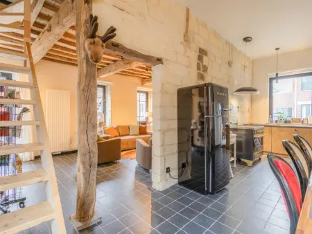 Maison Cuberdon à Riemst : 3 chambres, baby-foot et cinéma : photo 25