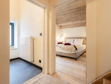 Maison Cuberdon à Riemst : 3 chambres, baby-foot et cinéma : photo 31