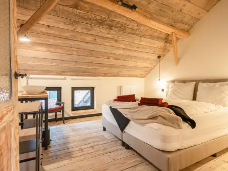 Maison Cuberdon à Riemst : 3 chambres, baby-foot et cinéma : photo 34