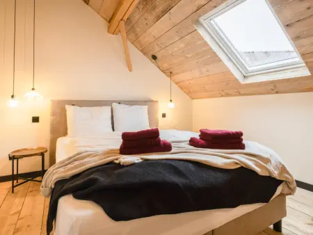 Maison Cuberdon à Riemst : 3 chambres, baby-foot et cinéma : photo 36