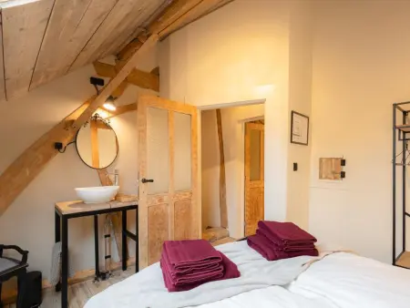 Maison Cuberdon à Riemst : 3 chambres, baby-foot et cinéma : photo 38