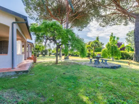 Maison Siby à Casale Marittimo, piscine privée : photo 53