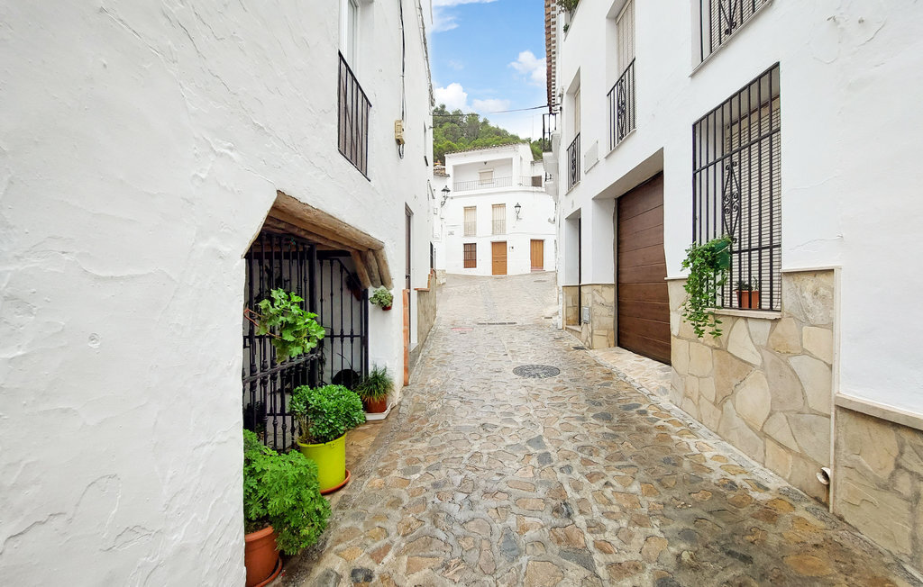 Maison andalouse aux Pueblos Blancos à El Gastor - Photo 6