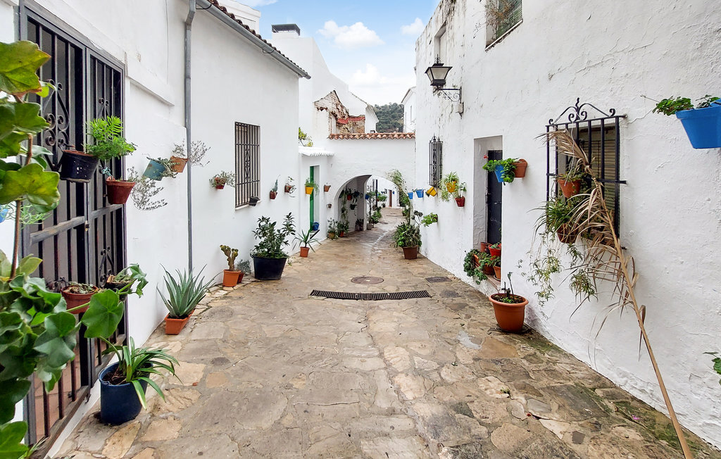 Maison andalouse aux Pueblos Blancos à El Gastor - Photo 7