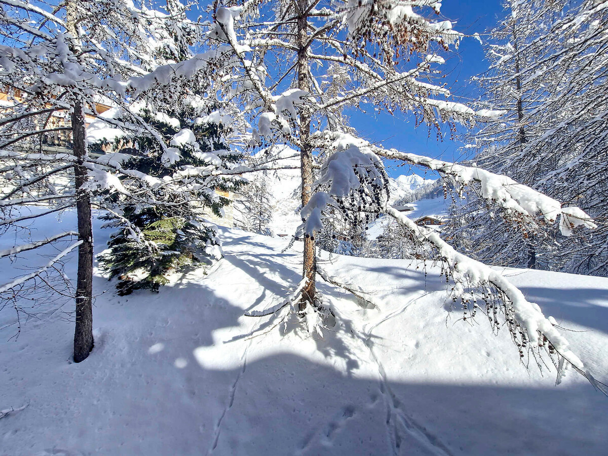Appartement 2 chambres, skis aux pieds, parking inclus - Photo 14