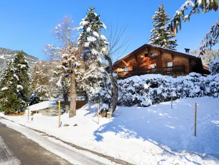 Chalet Le Haut Pré, Chalet 11 personnes à Villars - Photo 48