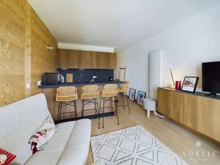 Studio 28m² rénové, terrasse sud, 350m des pistes : photo 4