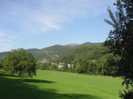 Gîte 2 chambres à la montagne avec terrasse et barbecue : photo 19