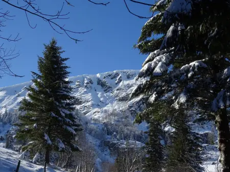 Gîte 2 chambres à la montagne avec terrasse et barbecue : photo 30