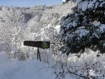 Gîte 2 chambres à la montagne avec terrasse et barbecue : photo 36