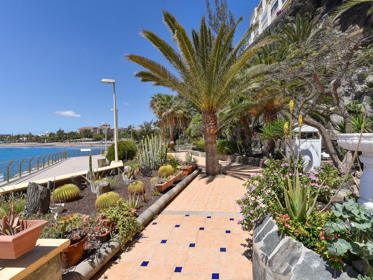 Studio 45 m² vue mer à San Agustín - Photo 16