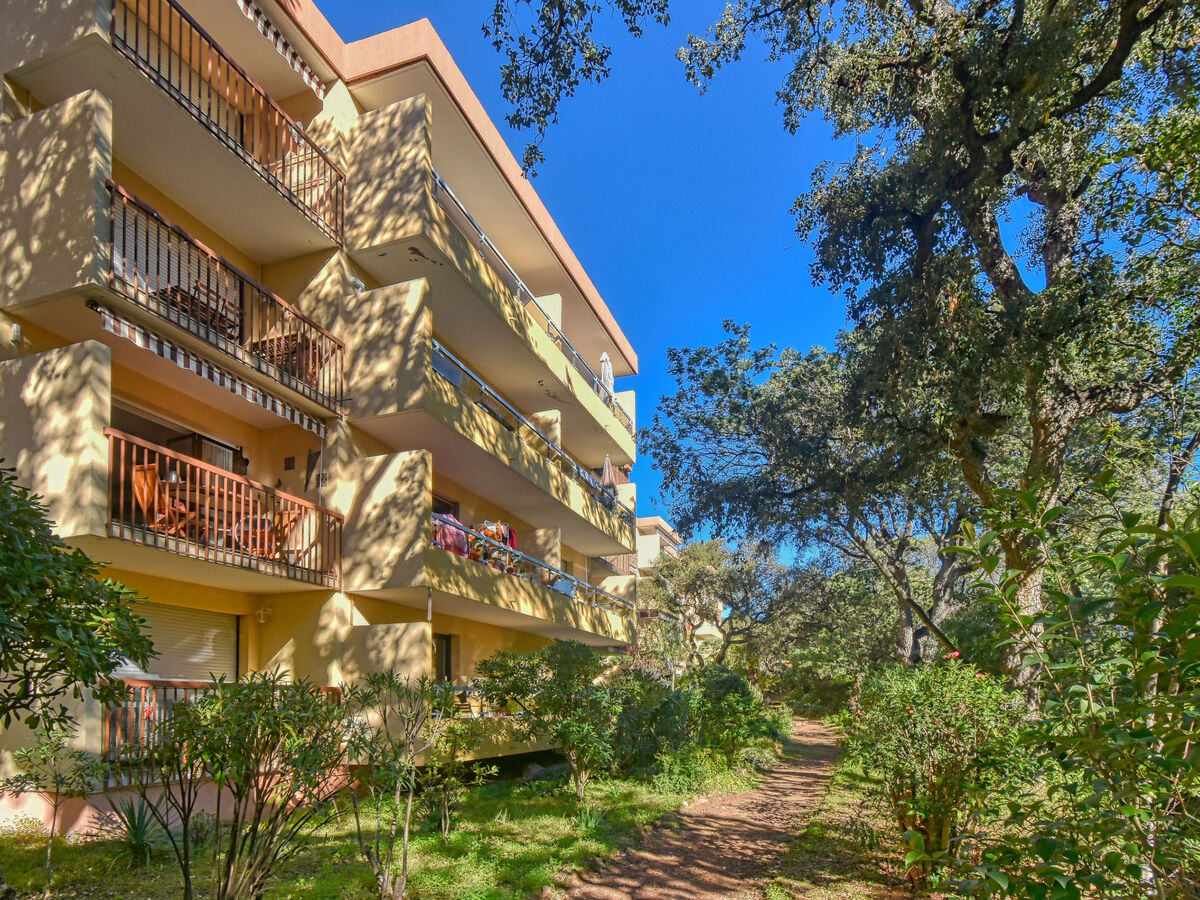 Le Capricorne - Apt 75 m² Saint-Raphaël, 6 pers. - Photo 21