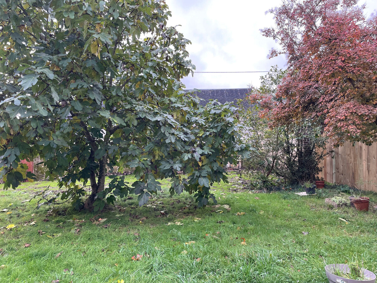 Gîte 4 pers. proche Châteaux Loire et parking - Photo 6
