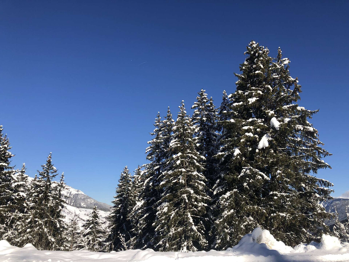 Appart 2 pièces ski aux pieds, 5 pers., balcon ouest - Photo 12