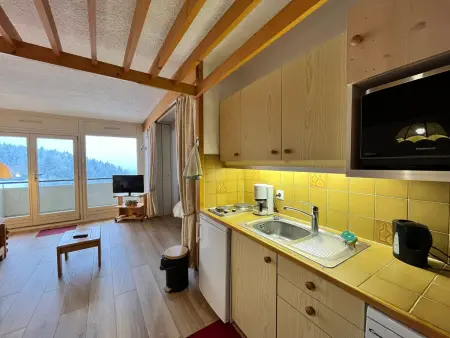 Studio rénové 39m² au pied des pistes avec balcon : photo 7