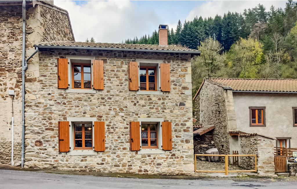 Maison pierre 7 personnes à Saint-Vert, terrasses et barbecue - Photo 1