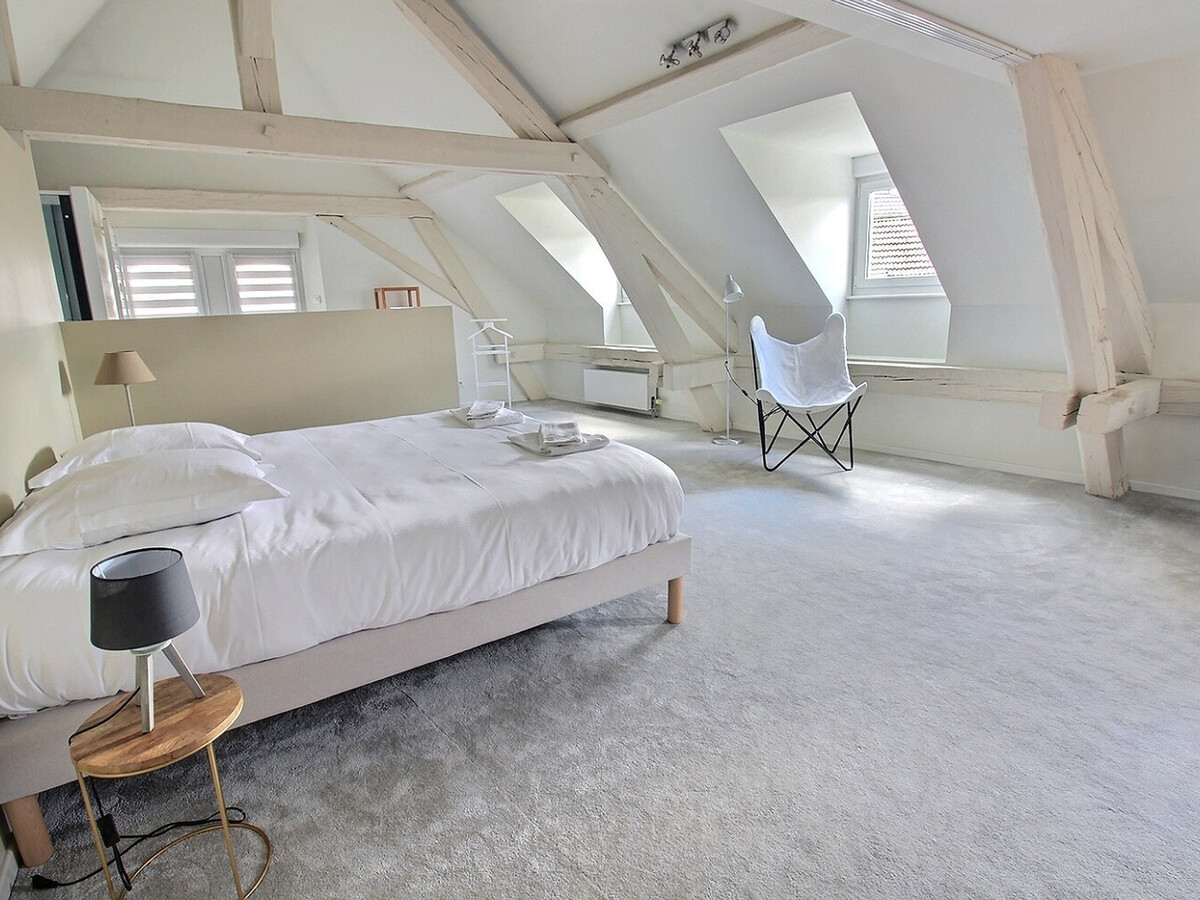 Villa Lavandière 4 étoiles, jacuzzi et garage à Colmar - Photo 9