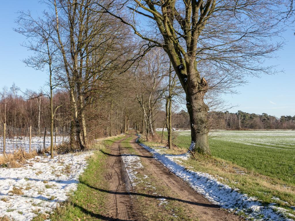 Lindehoeve – Ferme de groupe avec piscine intérieure chauffée - Photo 75