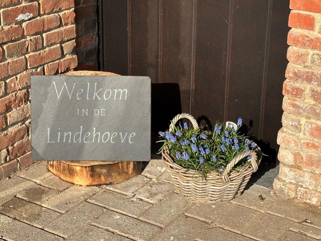 Lindehoeve – Ferme de groupe avec piscine intérieure chauffée - Photo 79