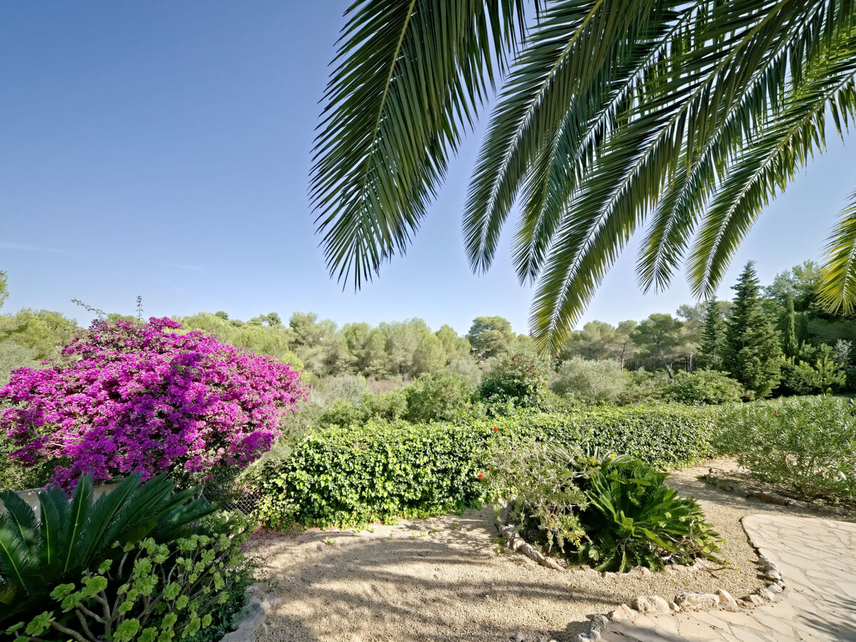 Maison Aika à Javea – piscine et vue vallée, 250 m² - Photo 38