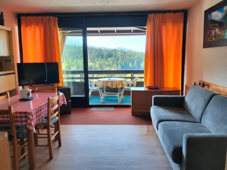 Location appartement à Villard de Lans, Studio confortable aux Glovettes, au pied des pistes