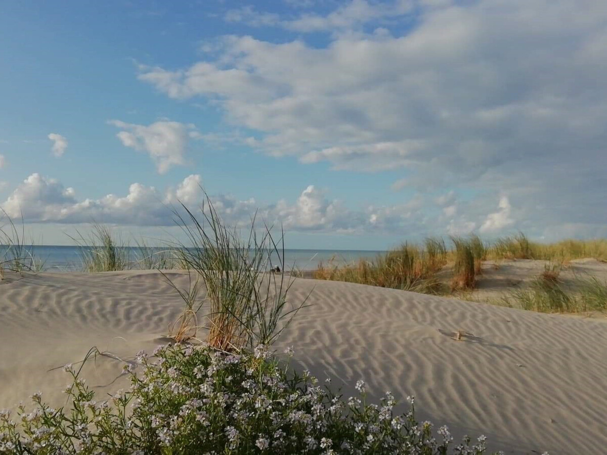 Appartement T2 Fort-Mahon-Plage, vue mer et balcon sud - Photo 16
