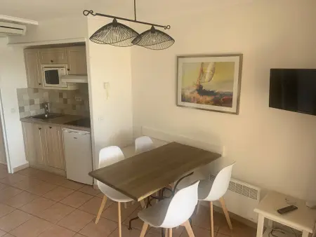 Charmant T2 climatisé avec terrasse et piscine, proche plages et commerces : photo 3
