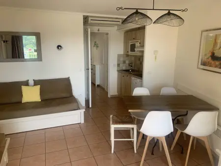 Charmant T2 climatisé avec terrasse et piscine, proche plages et commerces : photo 7