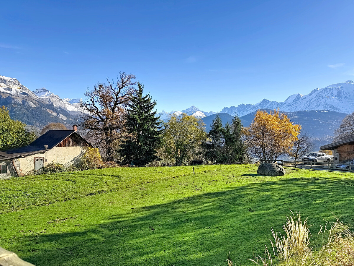 Duplex neuf 130 m², terrasse vue Mont Blanc, Combloux - Photo 15
