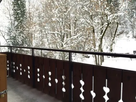 Duplex 6 pers à 300m du télésiège de Petit-Châtel : photo 11
