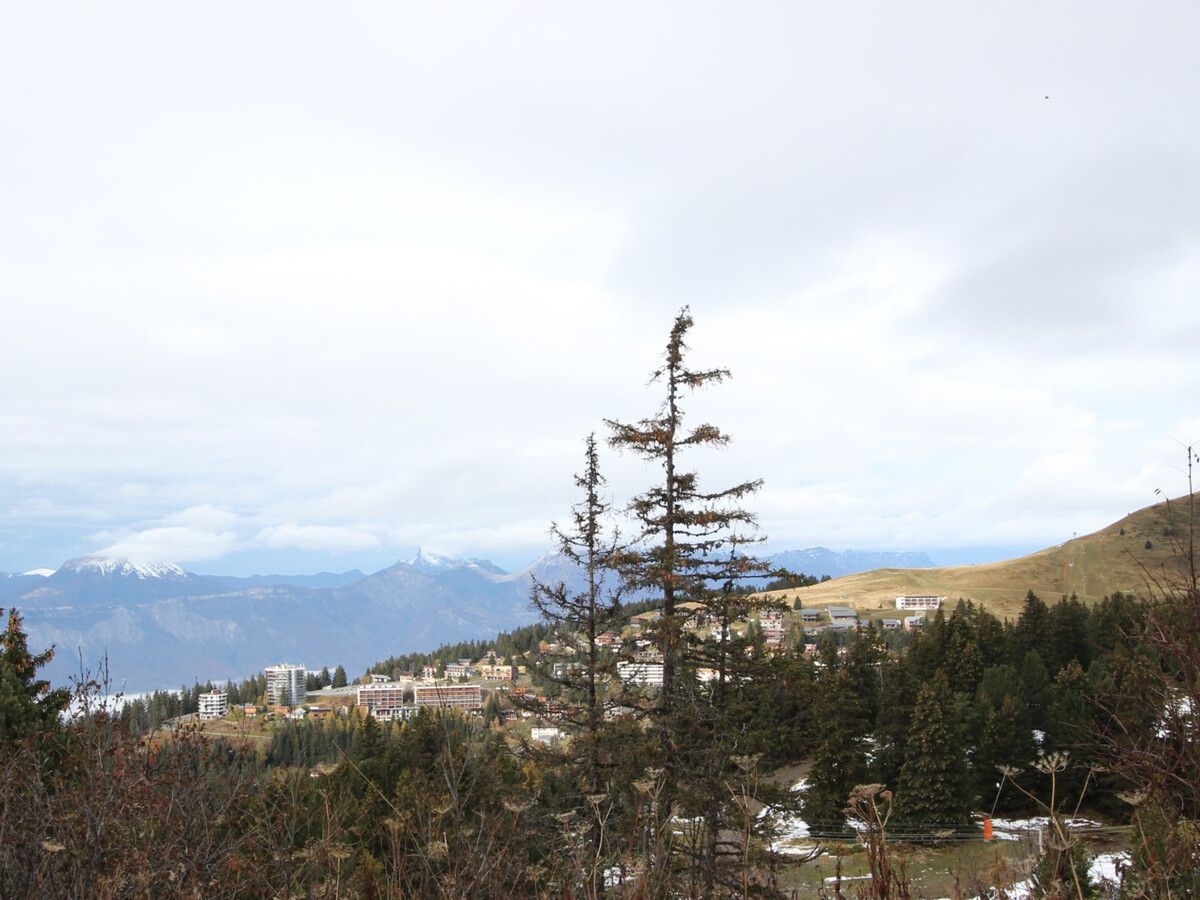 Studio cabine 24m² Chamrousse, balcon, pied des pistes - Photo 6