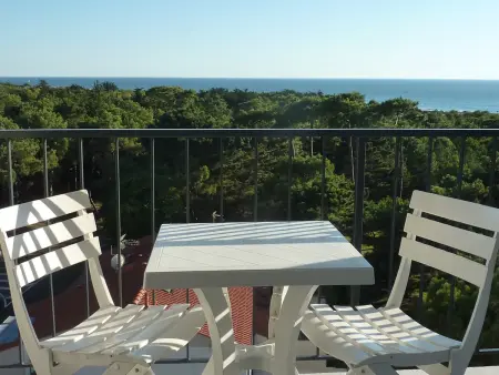 Location appartement à Les Sables d'Olonne, T2 rénové avec balcon, parking couvert, animaux admis