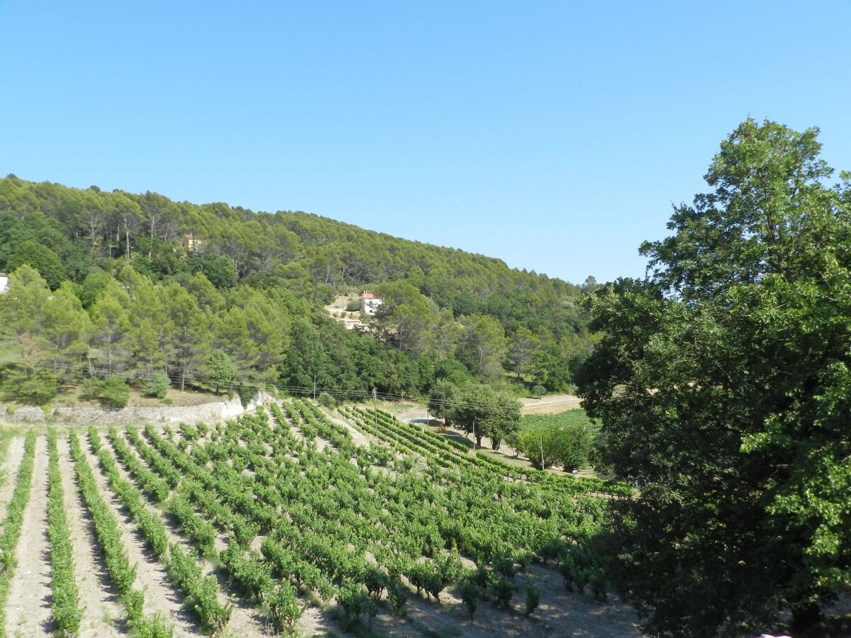 Saint-Michel : maison 4 chambres sur domaine viticole - Photo 34