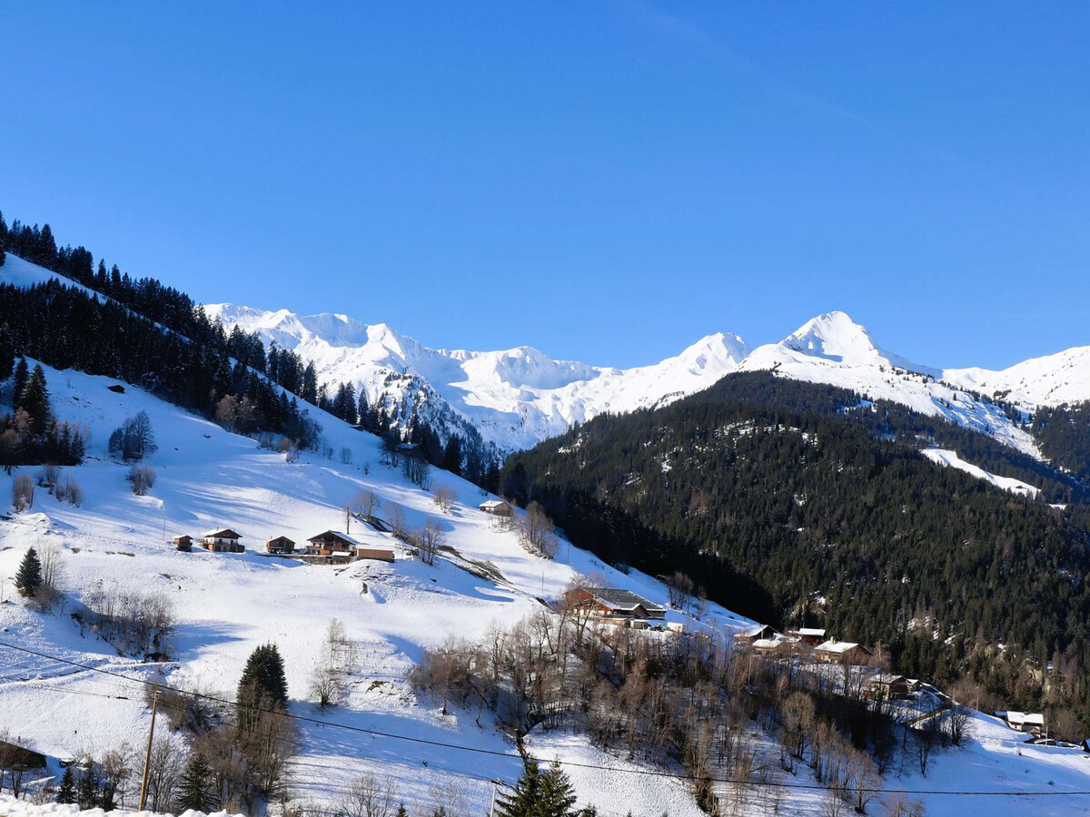 Chalet 15 pers. avec vue alpages à Arêches-Beaufort - Photo 19